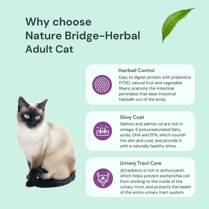 NatureBridge Herbal Kitten