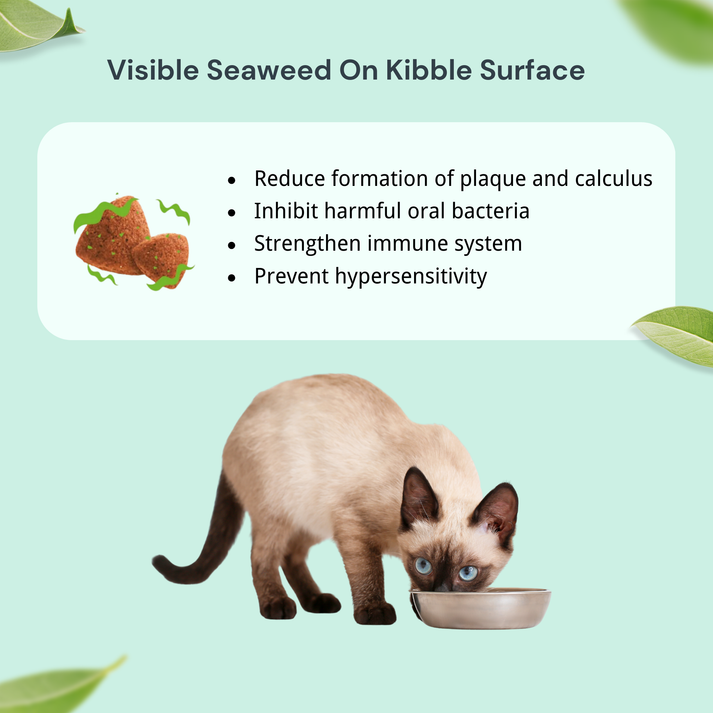 NatureBridge Herbal Adult Cat